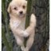 Foto de Meredith Croy