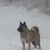 Gary Kingan's photo
