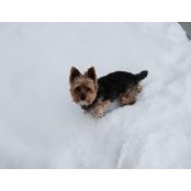 Shelly Watson's photo