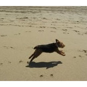 Tina Wong's photo