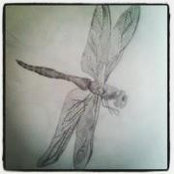 Chrissy Heimさんの写真