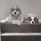 Jennifer Polzin's photo