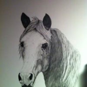 Foto von Cathy Garner