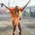 Alisha F