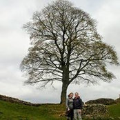 Kate Nicholas's photo