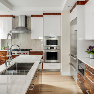 Brookline, MA White High Gloss Kitchen w/Rosewood