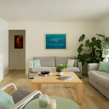 1950s Ranch - Whole House Remodel