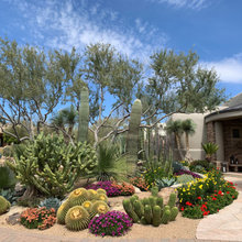 Tucson Landscaping