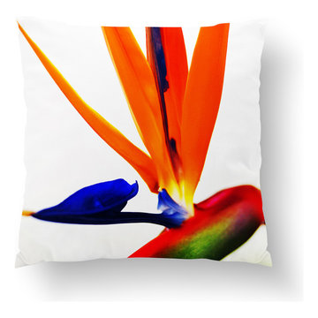Throw Pillow Covers