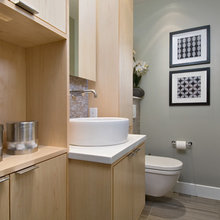 New Ideas Lean To En-suite Cabinet