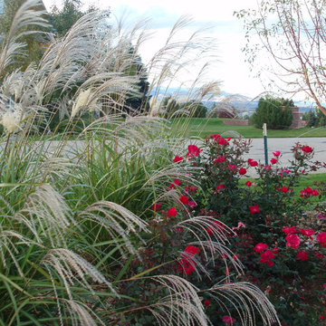 Snowberry Court, Niwot, CO.