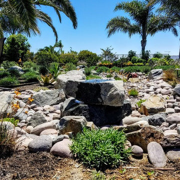 Vista Lawn Removal