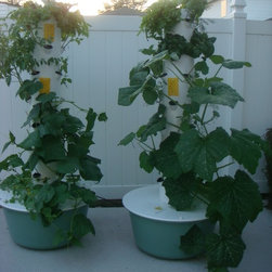 Patio vegetables -Organic  Hydroponic Growing system - Products