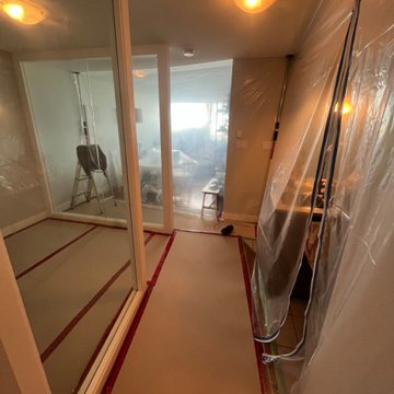 Glass wall removal/ Barn door install
