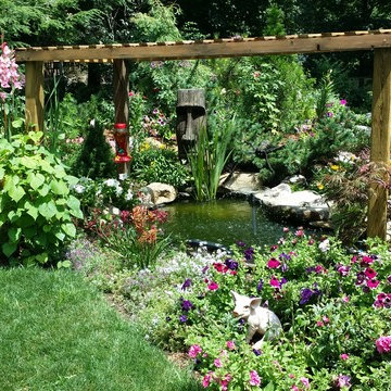 Water Feature