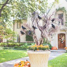 Container gardening design