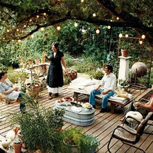 Landscape Ideas