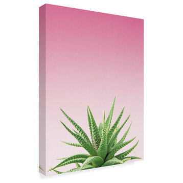 Felicity Bradley 'Succulent Simplicity I Pink Ombre Crop' Canvas Art, 18"x24"