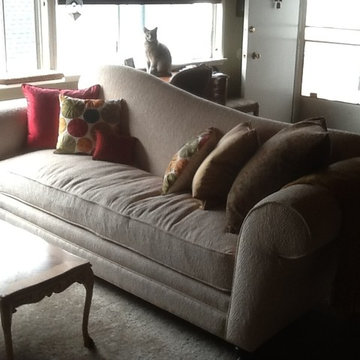 Sloping Curved Sofa w/ Cat Watching | The Sofa Company