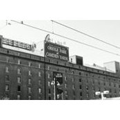 Aiden Denagall's photo