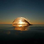 Freddi Högabo's photo