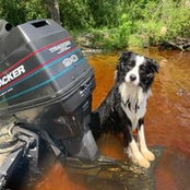 Timothy Whitener's photo