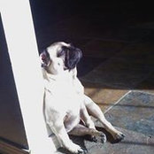 Ruth Reynolds's photo