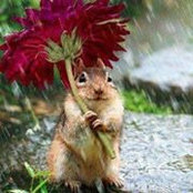 Mary Jo Bauer's photo