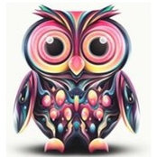Shania Schropp's photo