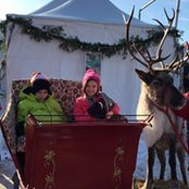 Tricia Stolz's photo