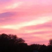Ryan Goss's photo