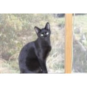 Melanie Taylor's photo