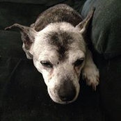 Troy Meier's photo