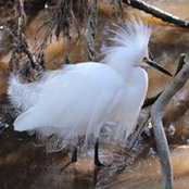 Foto von Deb Stewart