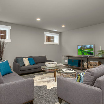 Greater Seattle Area | The Vienna Bonus Room