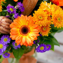 Floral Arranging