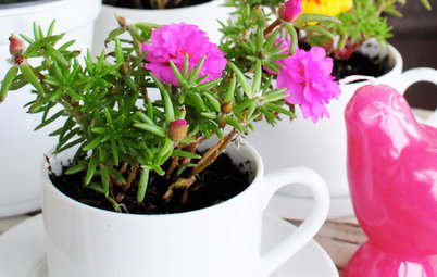 DIY Project: Teacup Planter Pots