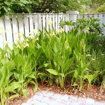 Rain Garden