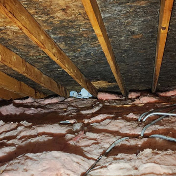 Attic Mold Remediation Assessment