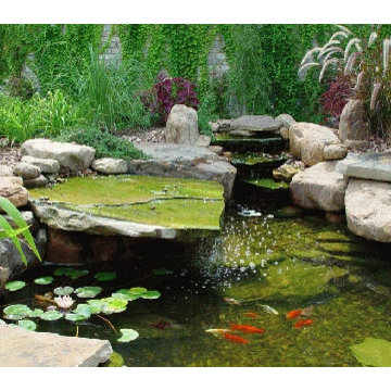 Natural Stone Pools Water Features