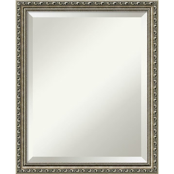 Parisian Silver Beveled Wood Bathroom Wall Mirror - 18 x 22 in.