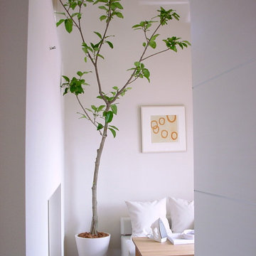 Plants.L