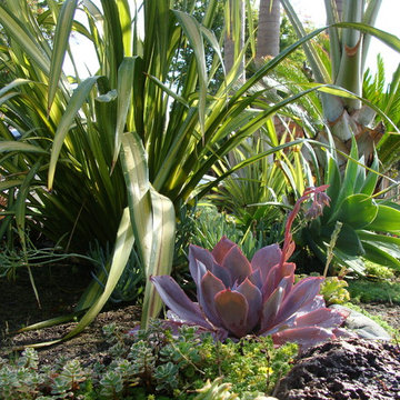 San Juan Capistrano 2012