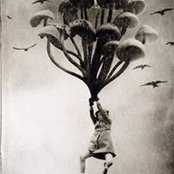 Dee Goedert's photo