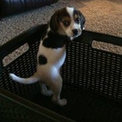 Julie Berger's photo