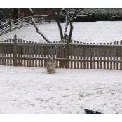 Sharon Avrunin-Becker's photo