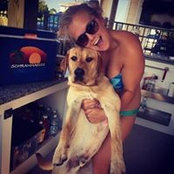 Lex Schramm's photo