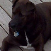 Joshua Quick's photo