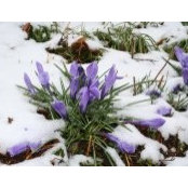 Gloria Brushwyler's photo