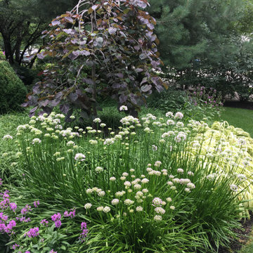 Upscale Landscape Renewal and Remake